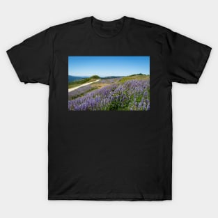 Lupine in the countryside T-Shirt